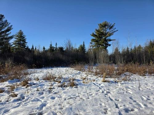 00 Crest Ave, Heathland, NB 