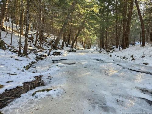 00 Crest Ave, Heathland, NB 