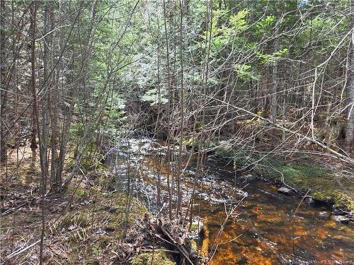 00 Crest Ave, Heathland, NB 