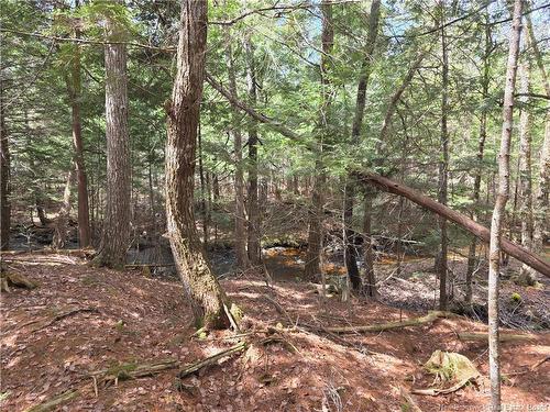 00 Crest Ave, Heathland, NB 