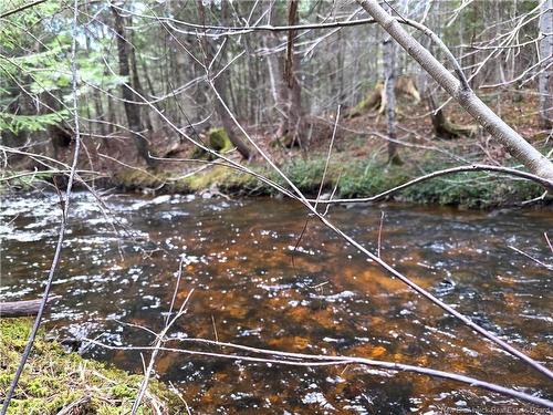 00 Crest Ave, Heathland, NB 