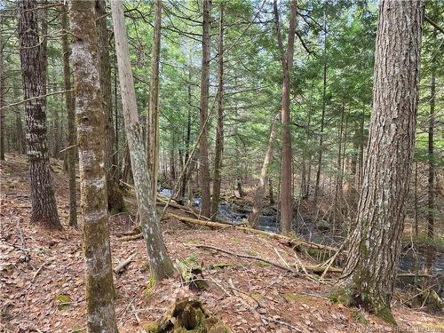 00 Crest Ave, Heathland, NB 