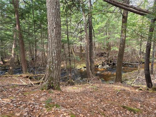 00 Crest Ave, Heathland, NB 