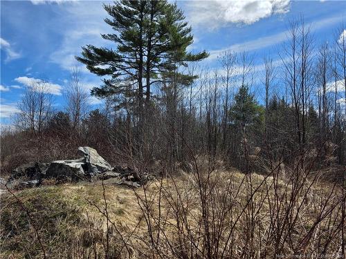 00 Crest Ave, Heathland, NB 
