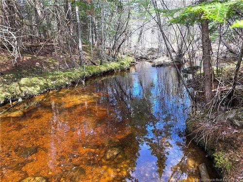00 Crest Ave, Heathland, NB 
