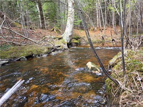 00 Crest Ave, Heathland, NB 