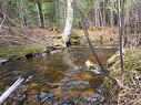 00 Crest Ave, Heathland, NB 