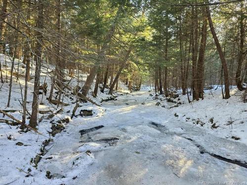 00 Crest Ave, Heathland, NB 