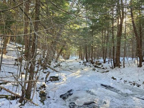 00 Crest Ave, Heathland, NB 