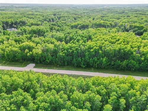 46120 43E Road, Ste Anne Rm, MB 