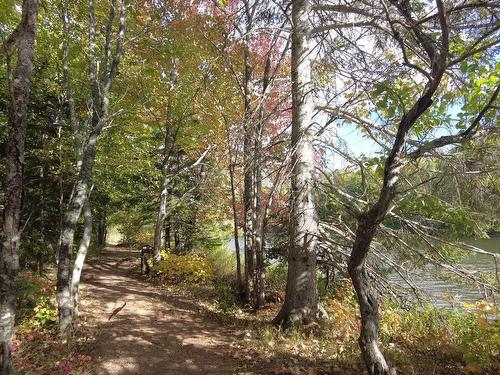 1402 Kolbec Road, Kolbec, NS 