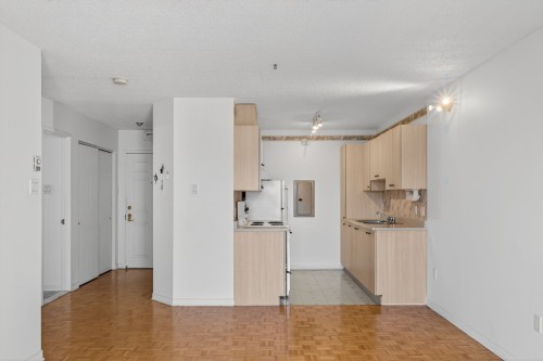 Kitchen - 503-2075 Rue Caroline-Béique, Montréal (Ahuntsic-Cartierville), QC - Indoor Photo Showing Kitchen