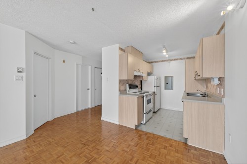 Kitchen - 503-2075 Rue Caroline-Béique, Montréal (Ahuntsic-Cartierville), QC - Indoor Photo Showing Kitchen With Double Sink