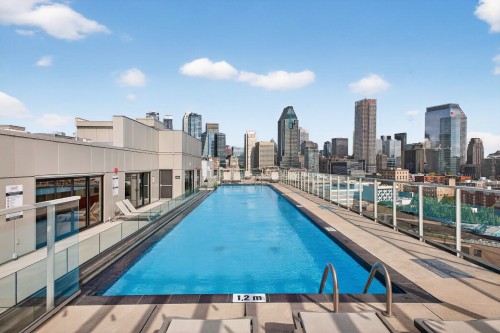 Pool - 1415-1375 Rue Des Bassins, Montréal (Le Sud-Ouest), QC - Outdoor With In Ground Pool