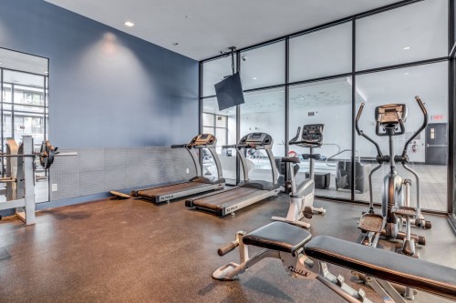 Exercise room - 1415-1375 Rue Des Bassins, Montréal (Le Sud-Ouest), QC - Indoor Photo Showing Gym Room