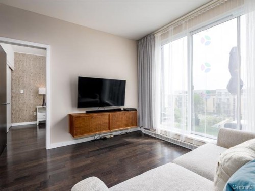 Salon - 420-750 32E Avenue, Montréal (Lachine), QC - Indoor Photo Showing Living Room