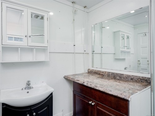 1029 Queens Ave, Victoria, BC - Indoor Photo Showing Bathroom