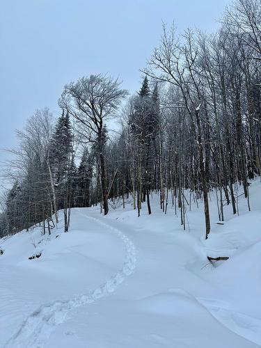 Terre/Terrain - Ch. Du Lac-Des-Sables, Sainte-Agathe-Des-Monts, QC 