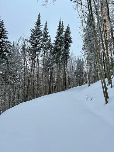 Autre - Ch. Du Lac-Des-Sables, Sainte-Agathe-Des-Monts, QC 
