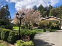 2229 Arbutus Rd, Saanich, BC 