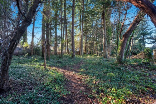 2229 Arbutus Rd, Saanich, BC 