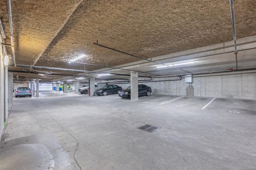 201-1055 Hillside Ave, Victoria, BC - Indoor Photo Showing Garage