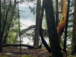 127 Halibut Hill Rd  Mudge Island, BC V0R 1X6