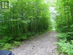 50 ACRES IN MUSKOKA NORTH OF BALA PCL 31045 Muskoka Lakes, ON P0C 1A0