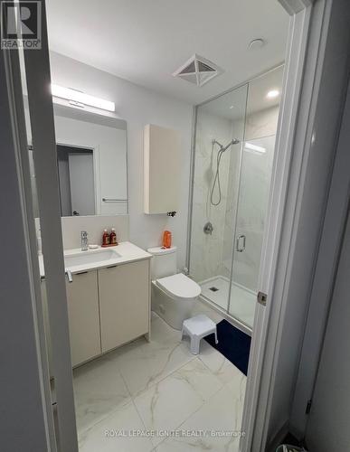 420B - 1604 Charles Street, Whitby, ON - Indoor Photo Showing Bathroom