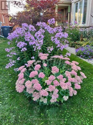 13 Pressed Brick Drive, Brampton, ON - Outdoor