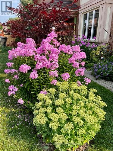 13 Pressed Brick Drive, Brampton, ON - Outdoor