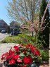 40 Tuscana Boulevard, Vaughan, ON  - Outdoor 