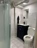 34 Dalewood Avenue, Hamilton, ON  - Indoor Photo Showing Bathroom 