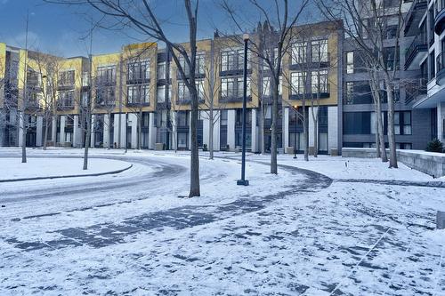 P1-302-3419 Av. Henri-Julien  Montréal (Le Plateau-Mont-Royal), QC H2X 3H3