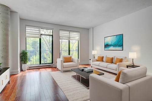 Living room - P1-302-3419 Av. Henri-Julien, Montréal (Le Plateau-Mont-Royal), QC - Indoor Photo Showing Living Room