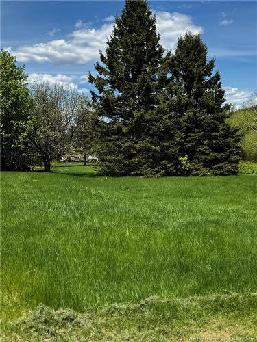 39 Thomas St, Saint-Jacques, NB 