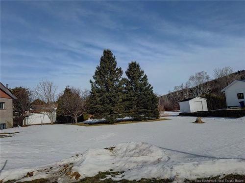 39 Thomas St, Saint-Jacques, NB 