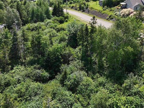 Alderwood Lane, Baddeck, NS 
