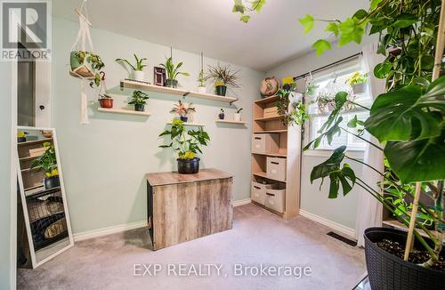 53 Norfolk Avenue, Cambridge, ON - Indoor Photo Showing Other Room