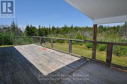 Back deck - 