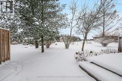 Park like back yard - 