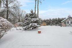 No rear neighbours - 