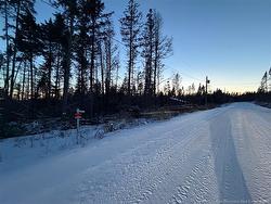 4 Slopeside LANE  Central Hainesville, NB E6E 1E3