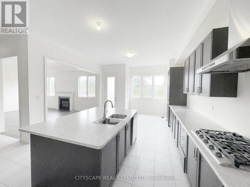 Kitchen - 76 Elstone Place, Hamilton, ON - Indoor Photo Showing Kitchen With Double Sink With Upgraded Kitchen