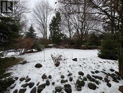 Rear Yard view from Deck - 