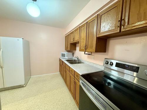 180 Varsity Row, Thunder Bay, ON - Indoor Photo Showing Kitchen With Double Sink