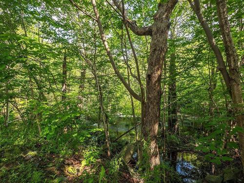 1 41 Moirs Mill Road, Bedford, NS 