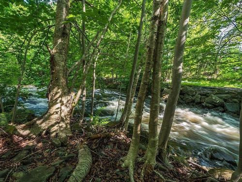 1 41 Moirs Mill Road, Bedford, NS 