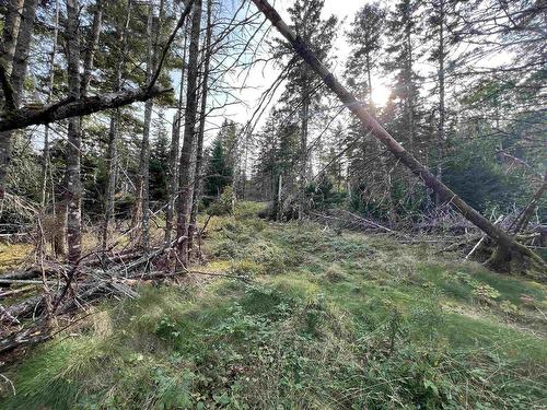 390 Conrads Road, Hubbards, NS 