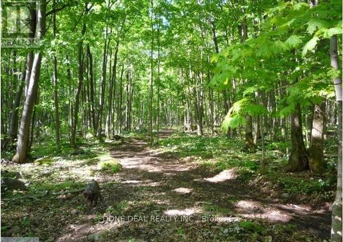 111 Nippissing Ridge Road, Tiny, ON 